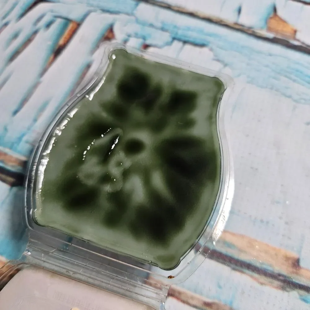 Scentsy Evergreen & Grapefruit Wax Bar Retired Holiday Fragrance